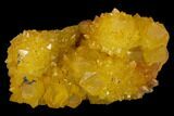 Sunshine Cactus Quartz Crystal Cluster - South Africa #132882-2